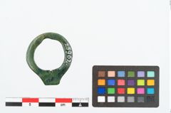 Foto von Bronzering (NHMW-PRAE-025962)